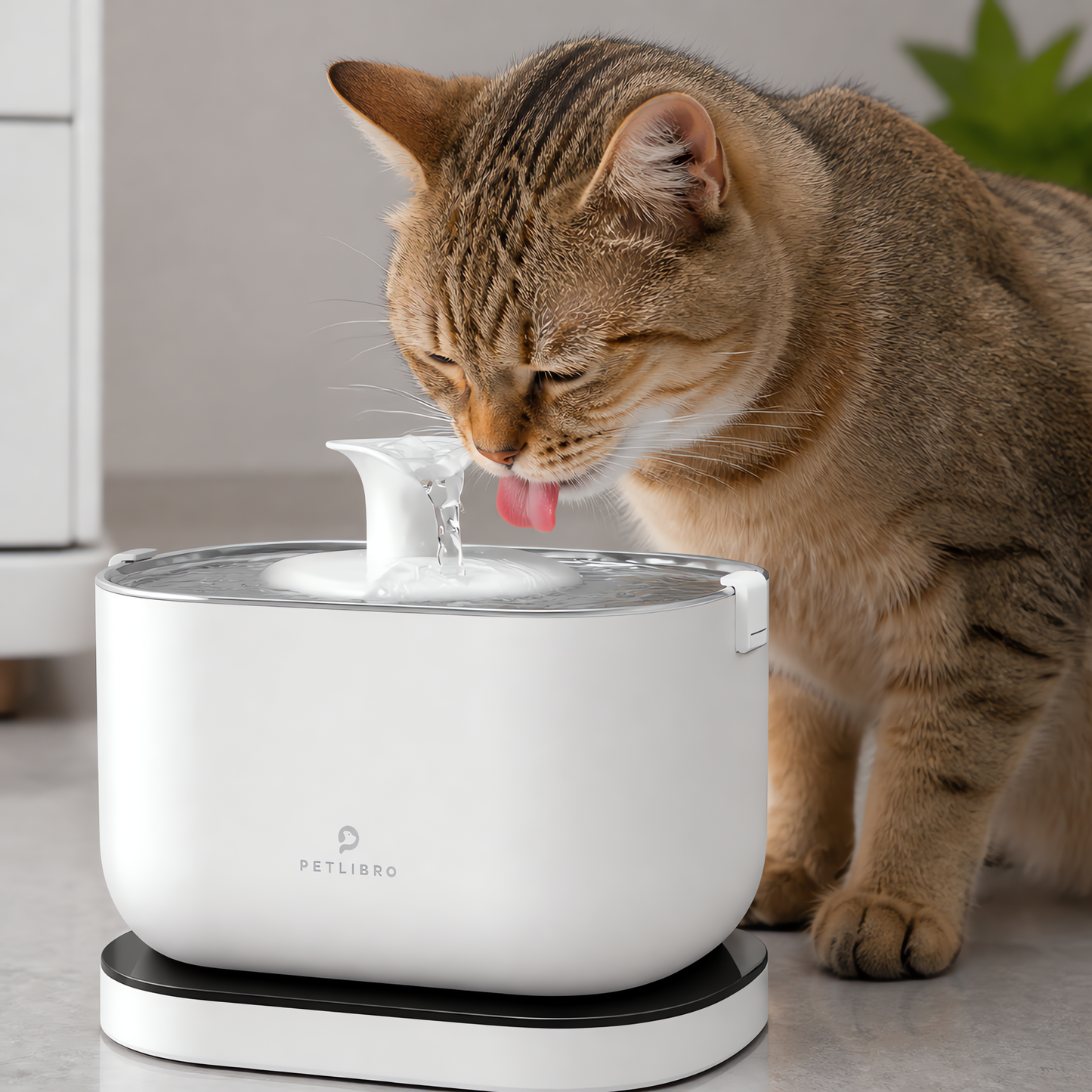 PETLIBRO Cat Water Fountain Cordless Pet Water Fountain Battery Operated 2.5L/84oz Dockstream Water Fountain for Cats Indoor Cat Fountain with Stainless Steel Tray Ultra-Quiet Dog Water Fountain